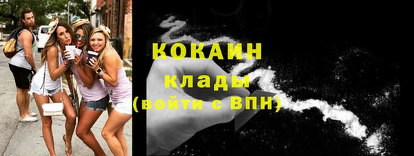 дживик Белокуриха