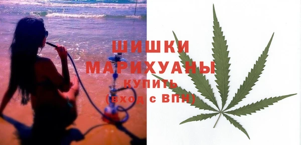 молекула духа Богородск