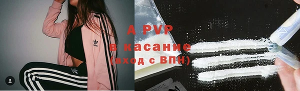 дживик Белокуриха