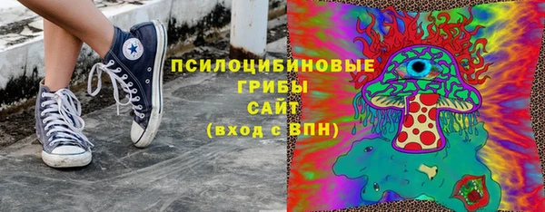дживик Белокуриха