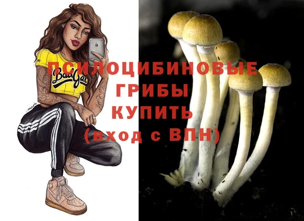 не бодяженный Богородицк